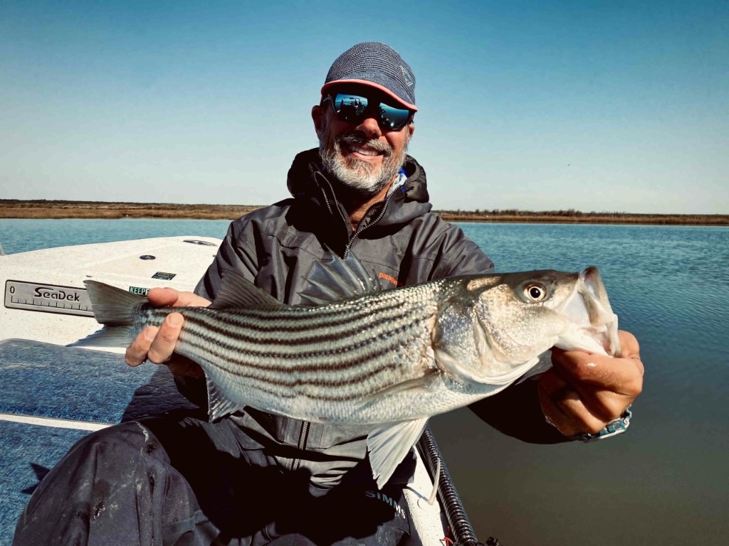 Angler holding a striped bass on a boat