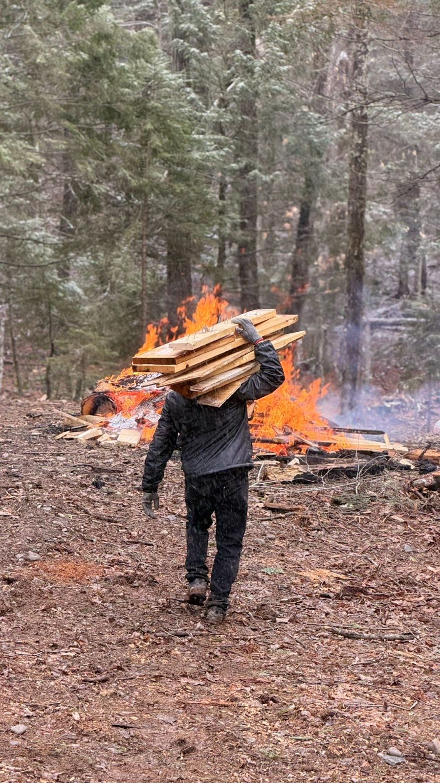 Lumber carried past a burn pile in the woods