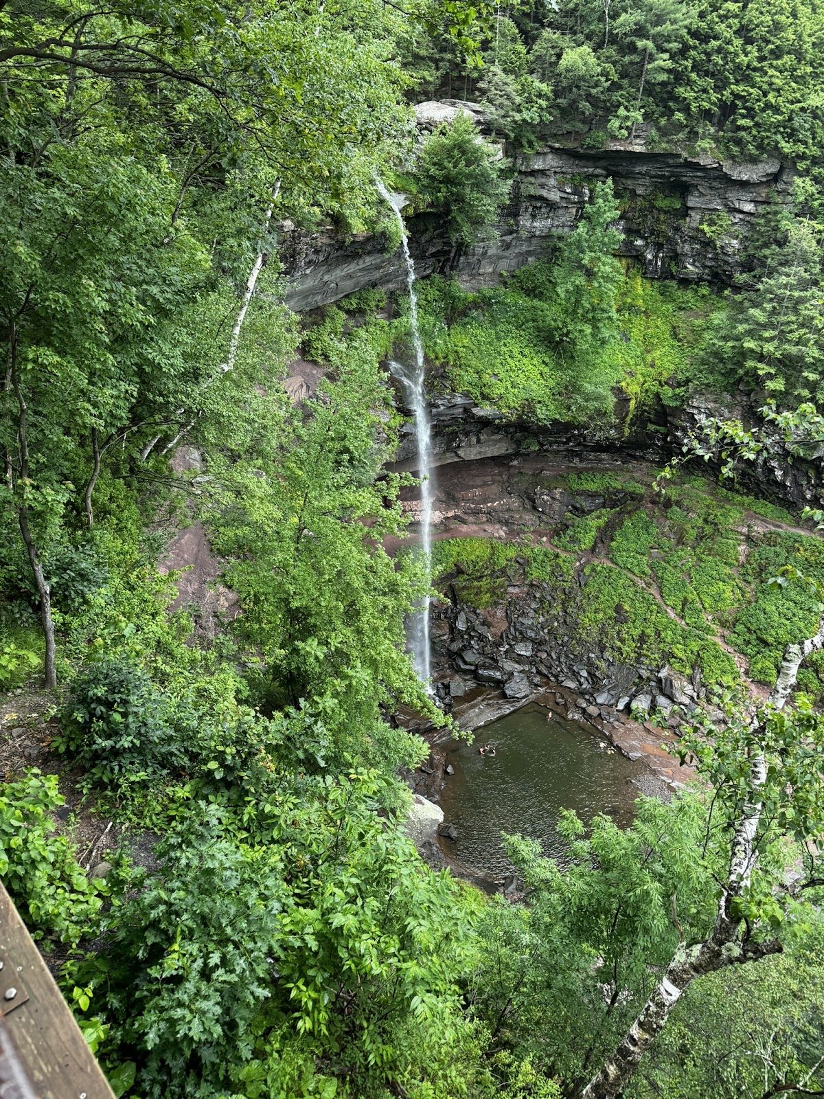 Kaaterskill Falls in summer from the top
