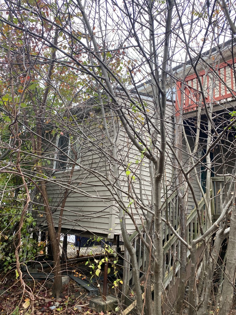 The rear of the old house, seen through trees