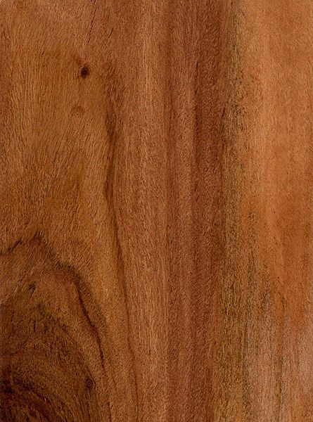 Teak material close-up