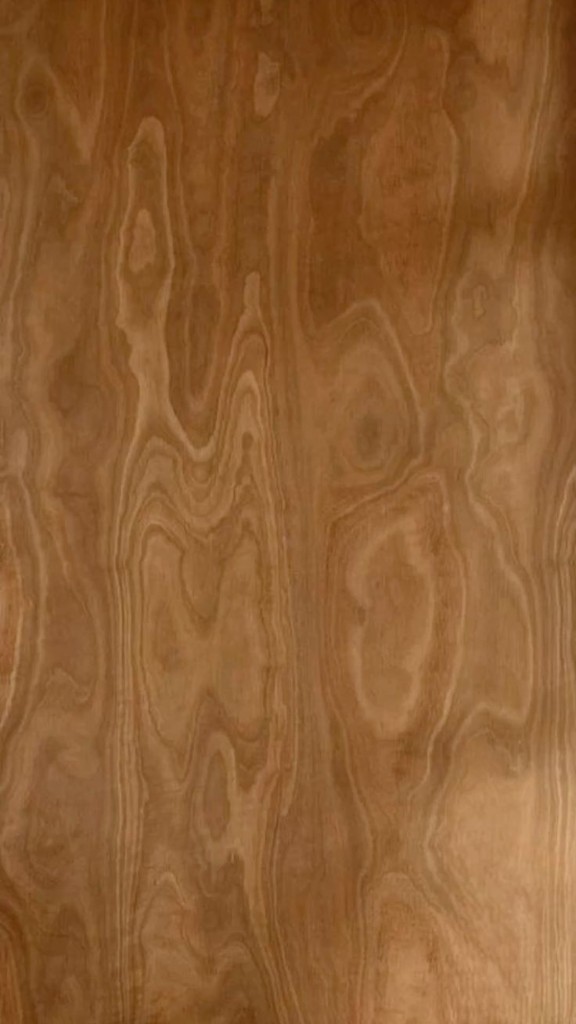 Plywood Grain material close-up